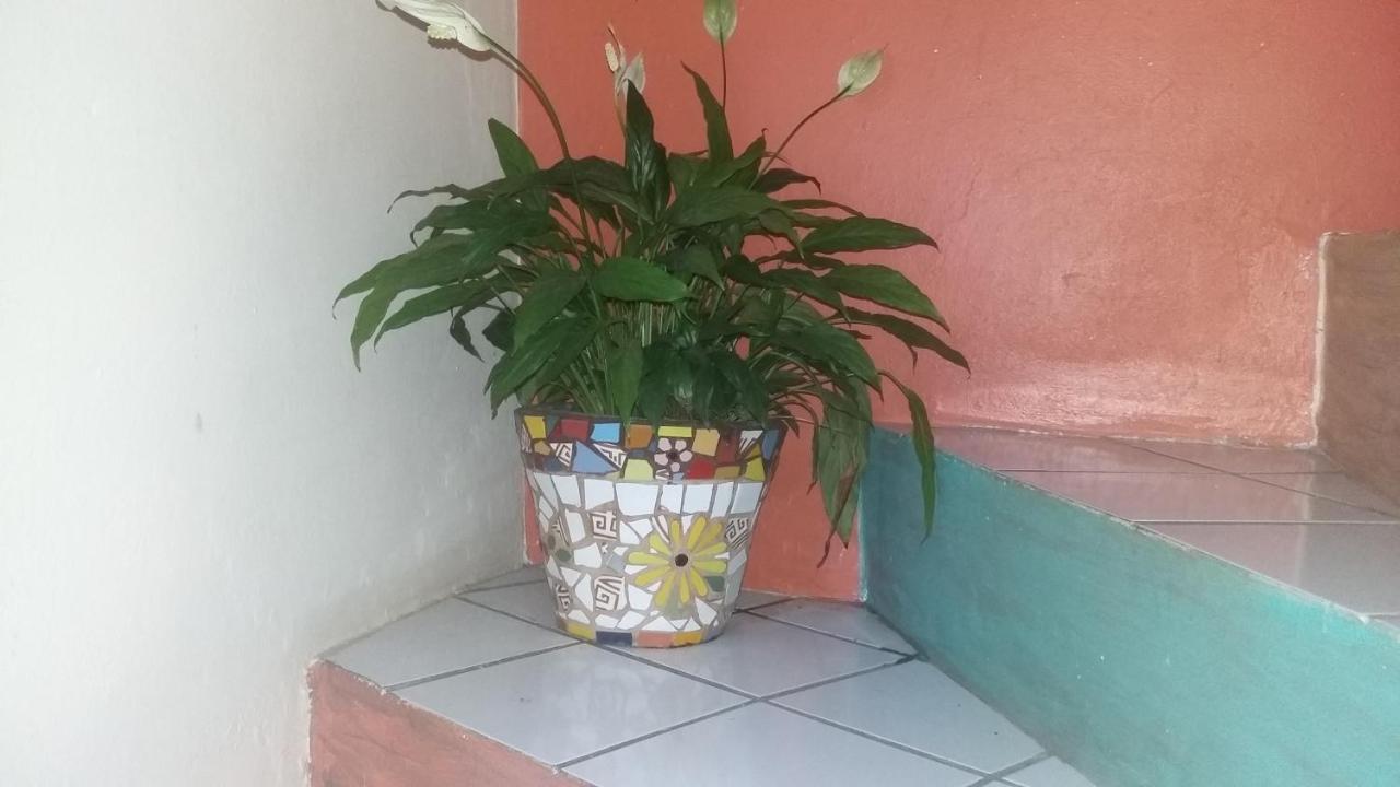 Casa Hostel Mosaicos Dya Florianópolis Buitenkant foto
